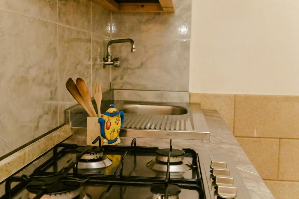 Kuchyň nebo kuchyňský kout v ubytování Appartamenti Frassanito