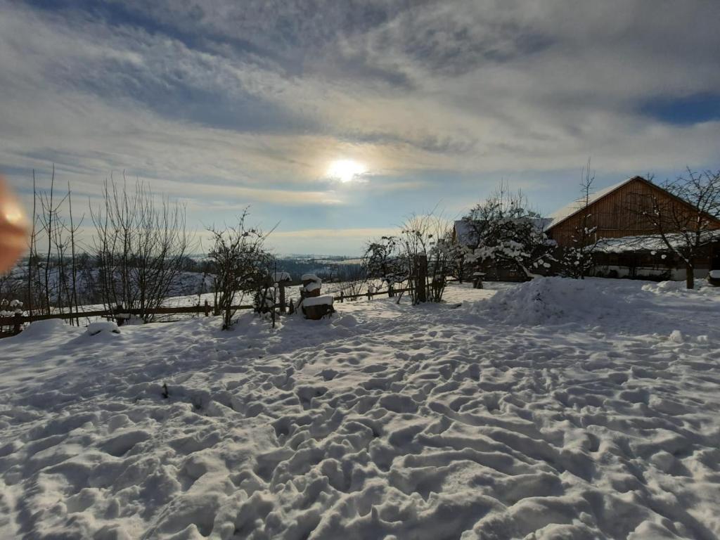 Am Kapferhof v zimě