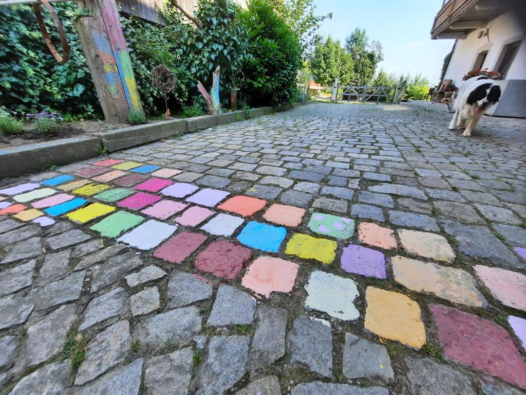 Domácí mazlíčci ubytovaní s hosty v ubytování Am Kapferhof