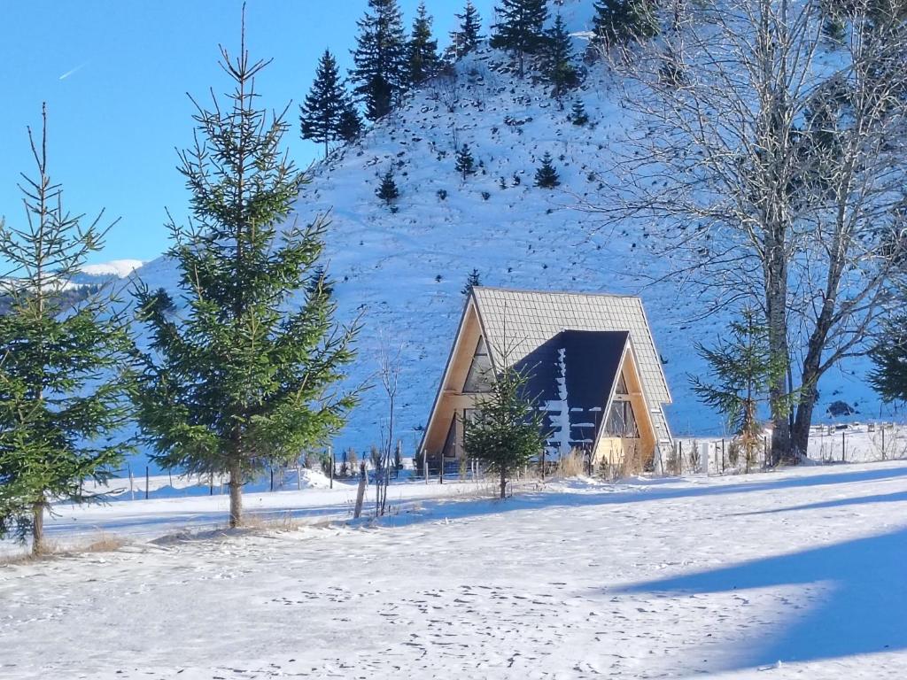 una cabina in legno nella neve di fronte a una montagna di Alloria a Şirnea