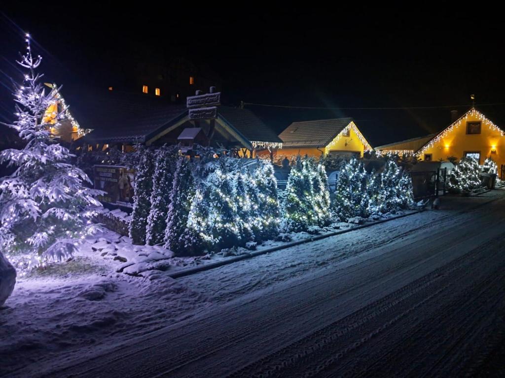 Fotografia z galérie ubytovania Drewniany Domek Daria i Tomek 2 domki na 8 osób v destinácii Stronie Śląskie