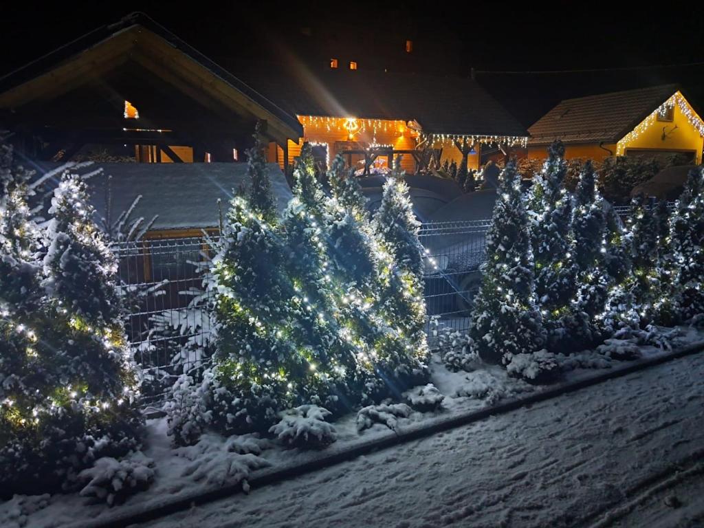 Fotografia z galérie ubytovania Drewniany Domek Daria i Tomek 2 domki na 8 osób v destinácii Stronie Śląskie