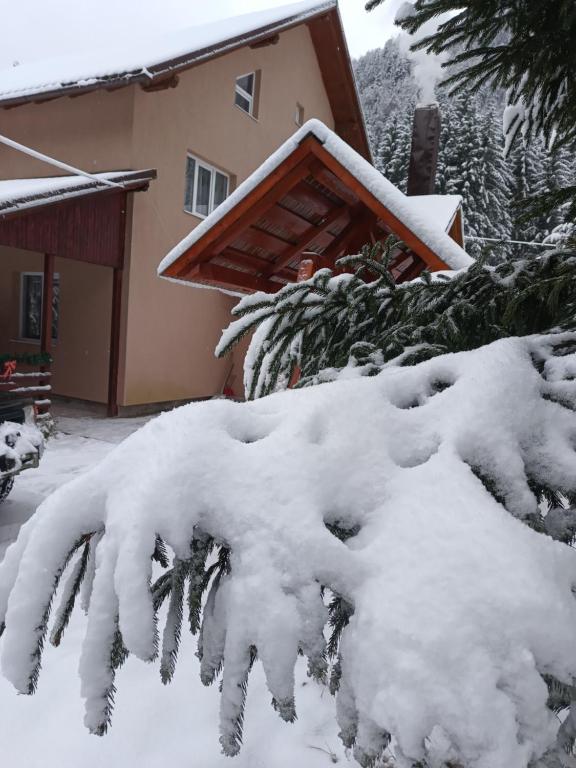 Cabana Colț de Rai v zimě
