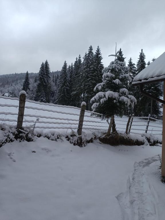 Cabana Colț de Rai v zimě