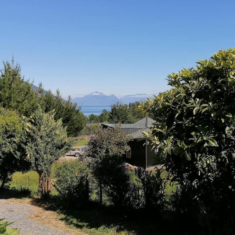 a house in the middle of a field with trees at Casa campo in Futrono