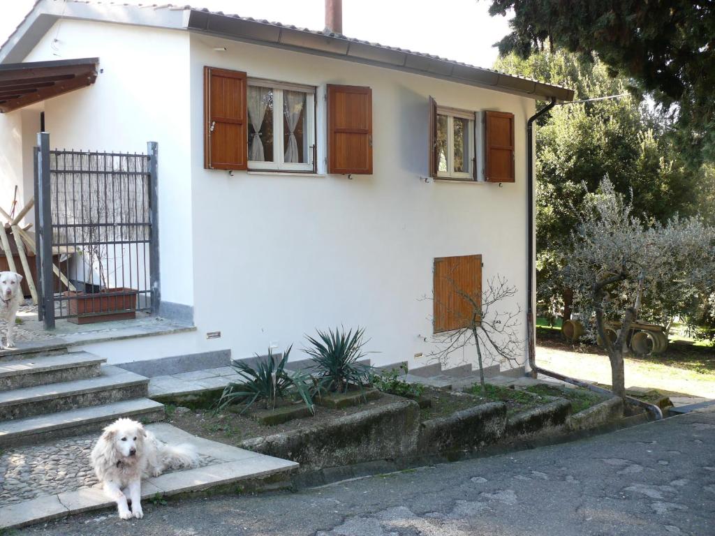 um cão parado em frente a uma casa branca em Villetta Aleanto em Mentana