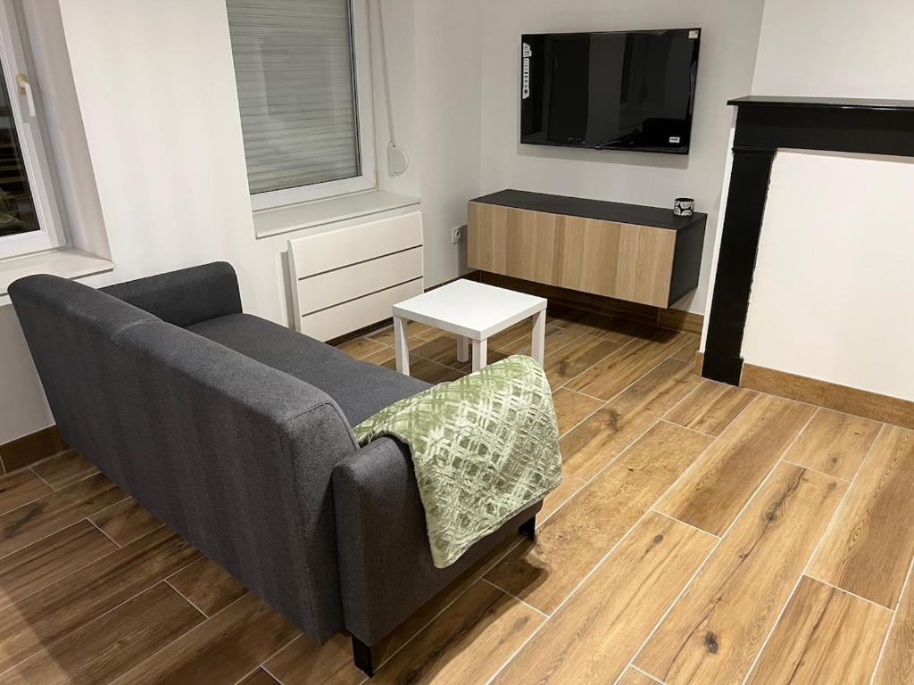 Μια τηλεόραση ή/και κέντρο ψυχαγωγίας στο Logement cosy pour 2 personnes