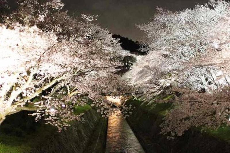 Foto sihtkohas Ōtsu asuva majutusasutuse Guest House Hana galeriist
