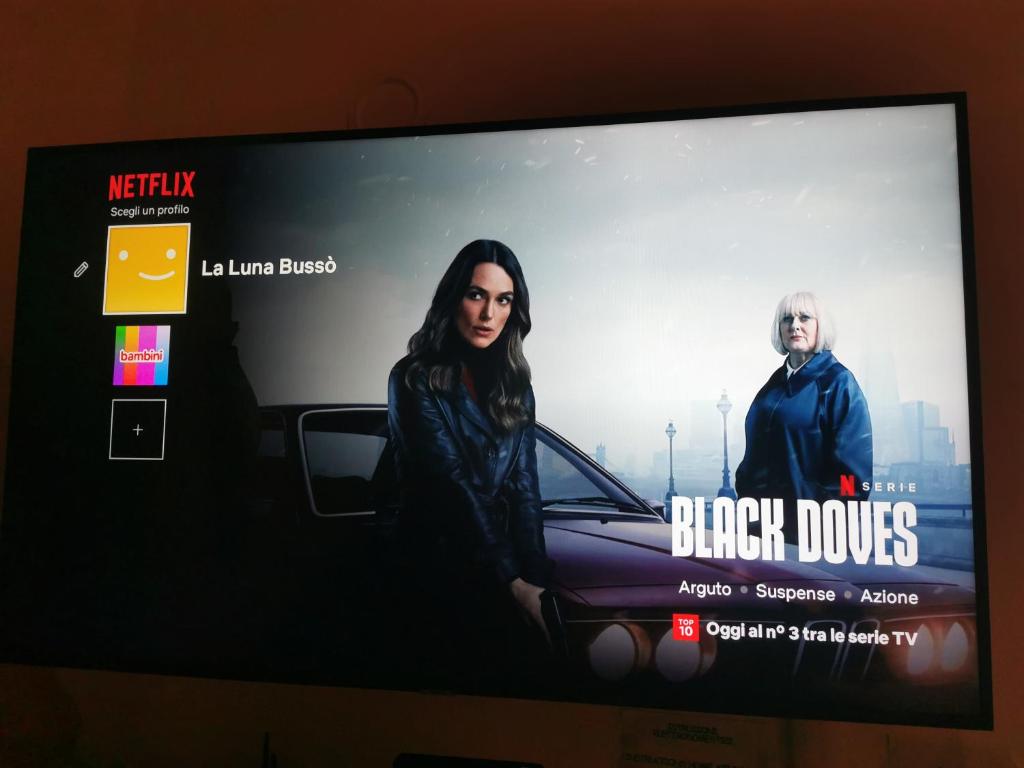 TV a/nebo společenská místnost v ubytování La Luna Busso' Ariccia