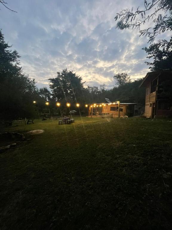 a yard with a group of lights in the grass at Casa Qinti EcoHostel in Cosquín