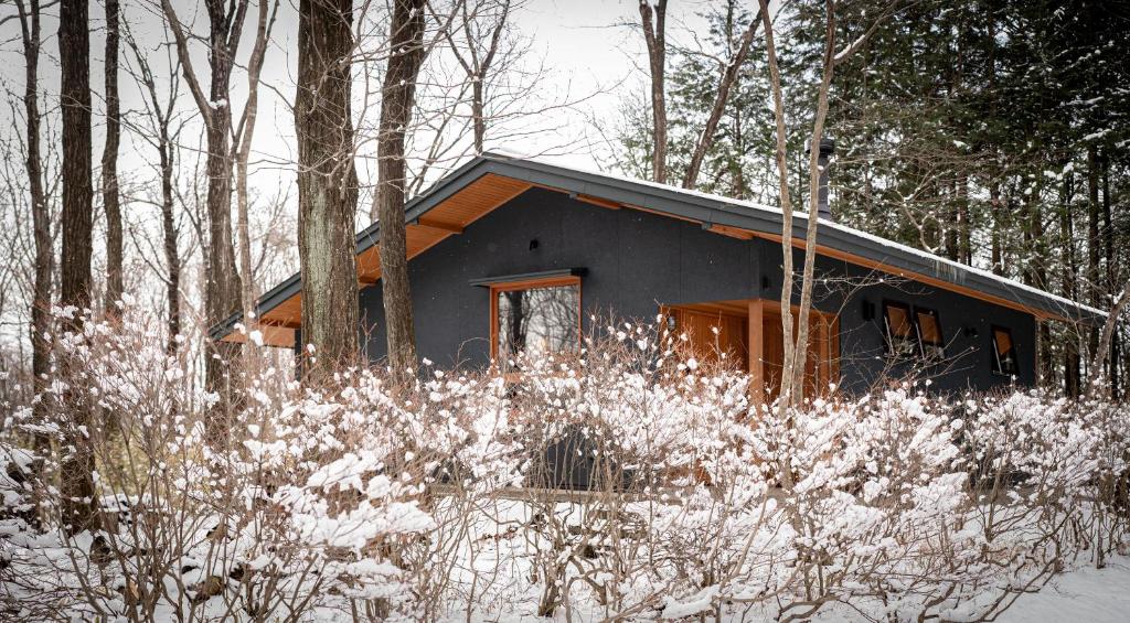 Nold forest house 那須高原の森の中で心地よく暮らす宿 v zimě