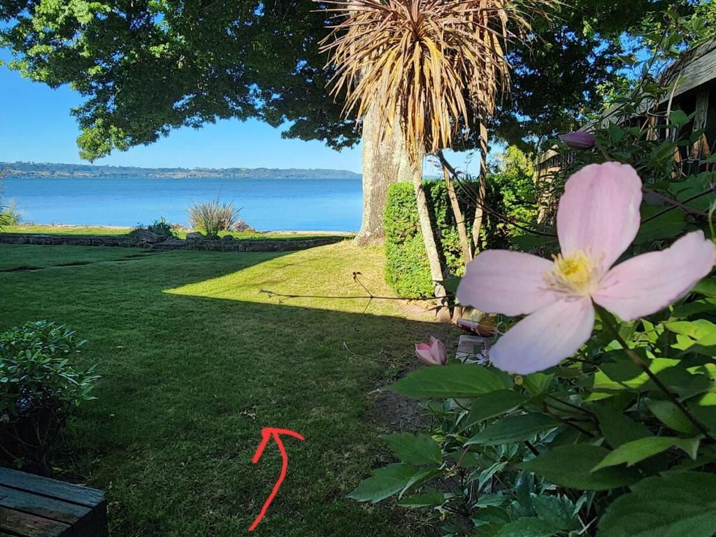 Lakeside getaway self-contained unit - Resim 18