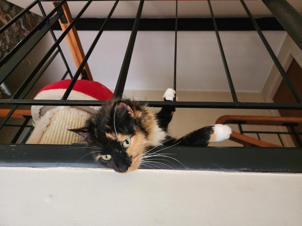 Lakeside getaway self-contained unit - Resim 20