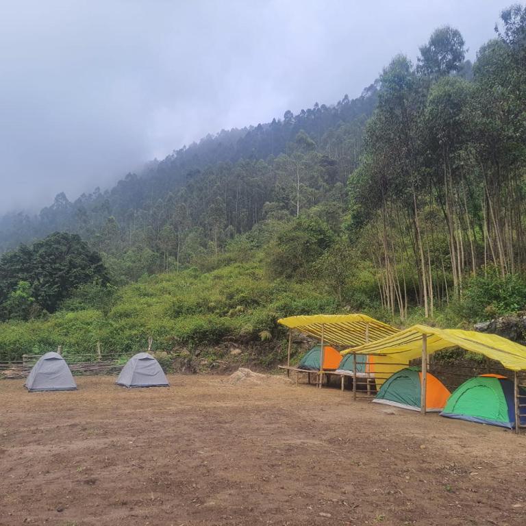 KottakamboorA Place without a Name的相册照片