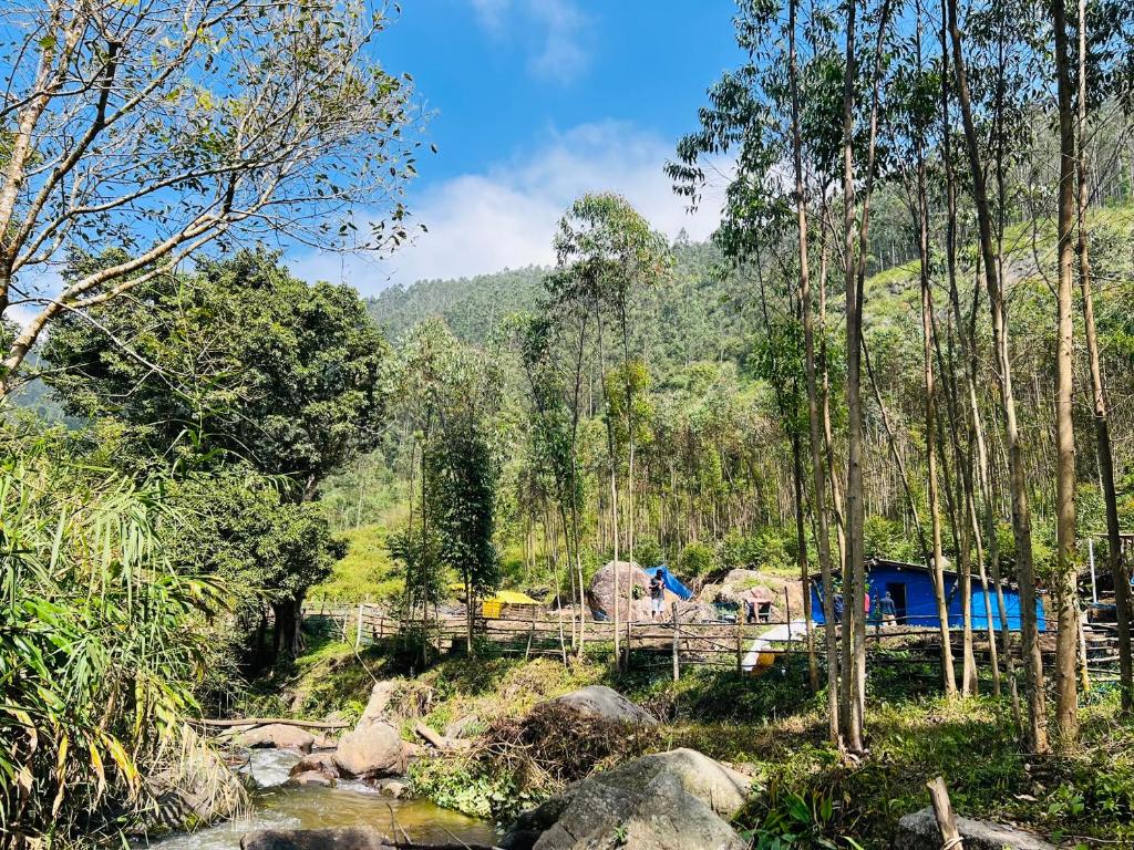 KottakamboorA Place without a Name的相册照片