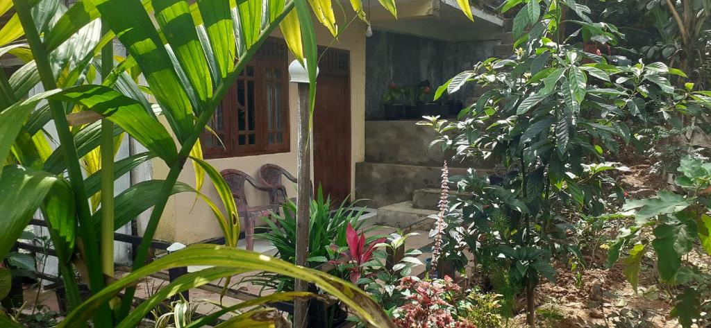 Zahrada ubytování Daresh home stay