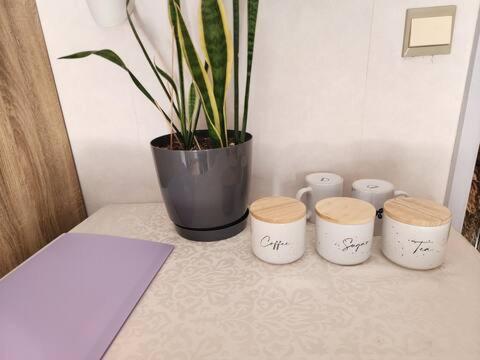 Lake view room with bathroom - Resim 10