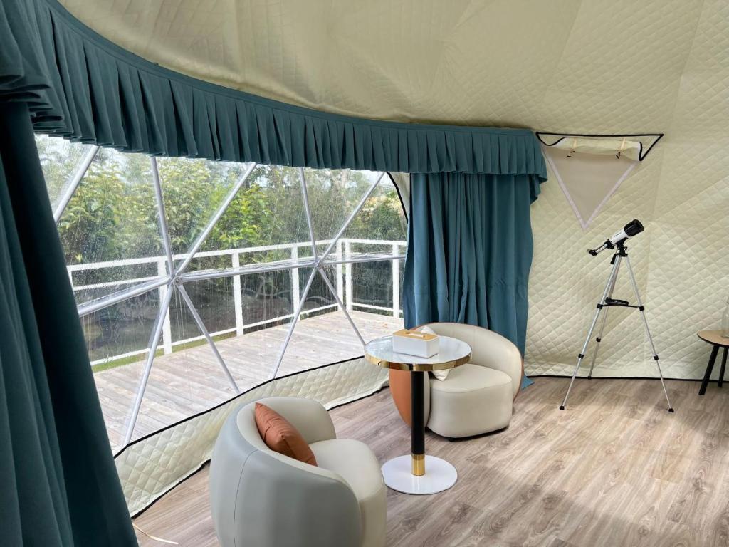 Gallery image of Twinkle Orchard Camp in Taupaki