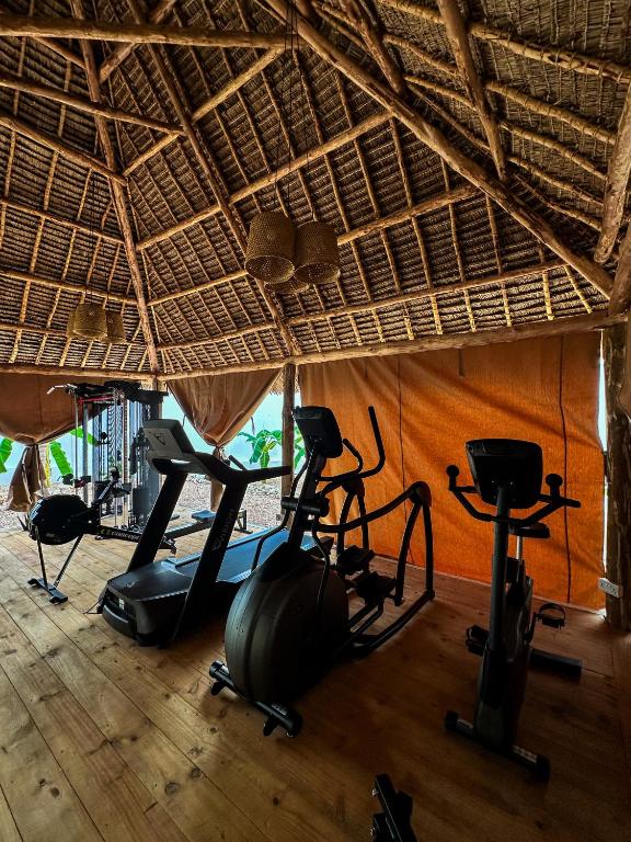 Fitness centrum a/nebo fitness zařízení v ubytování The Oasis Residence