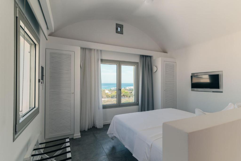 TV a/nebo společenská místnost v ubytování Makrikythera Luxury Suites - Private Pool or Hot Tub Suites