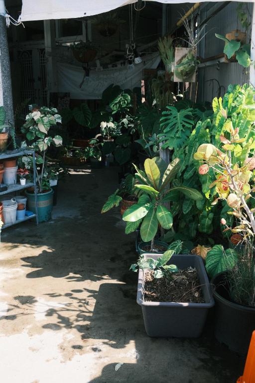 Zahrada ubytování A Forest Homestay