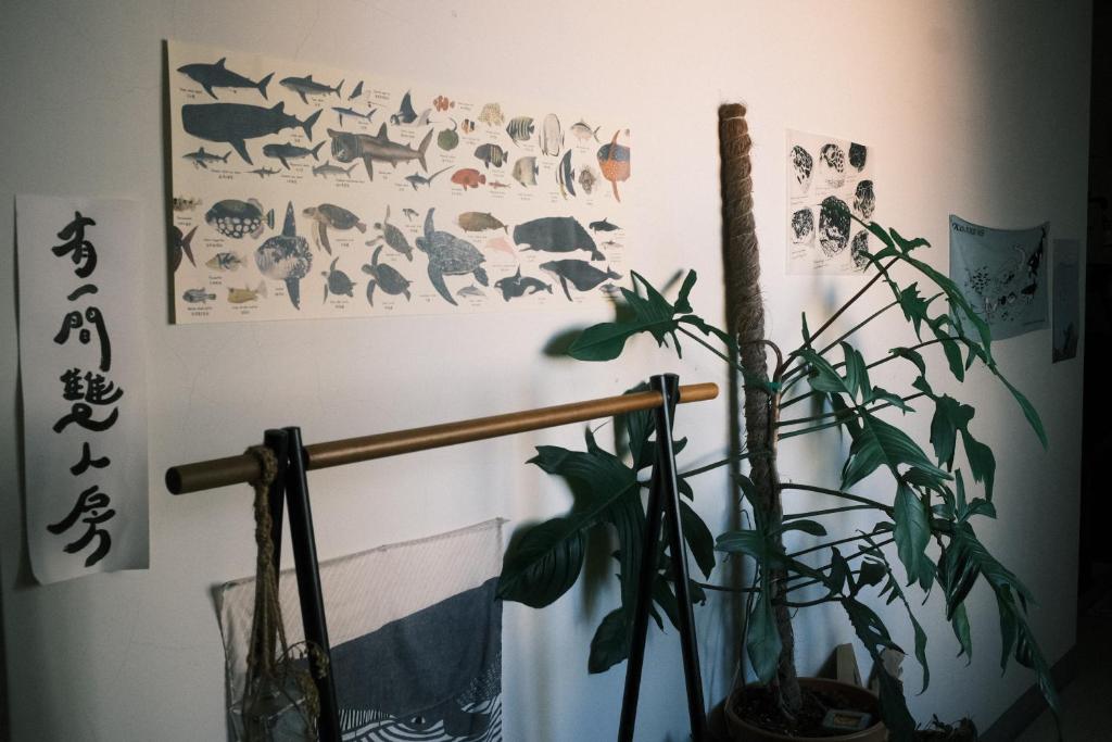 Fotografie z fotogalerie ubytování A Forest Homestay v destinaci Siao Liou-čchiou