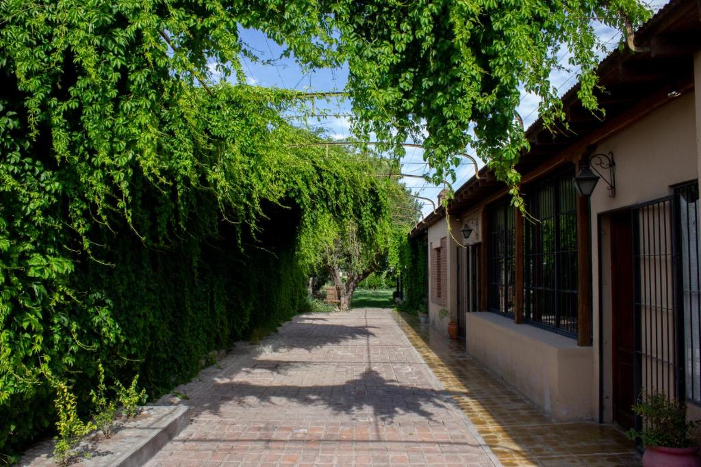 Fotografie z fotogalerie ubytování Posada Finca Garciarena v destinaci Agrelo
