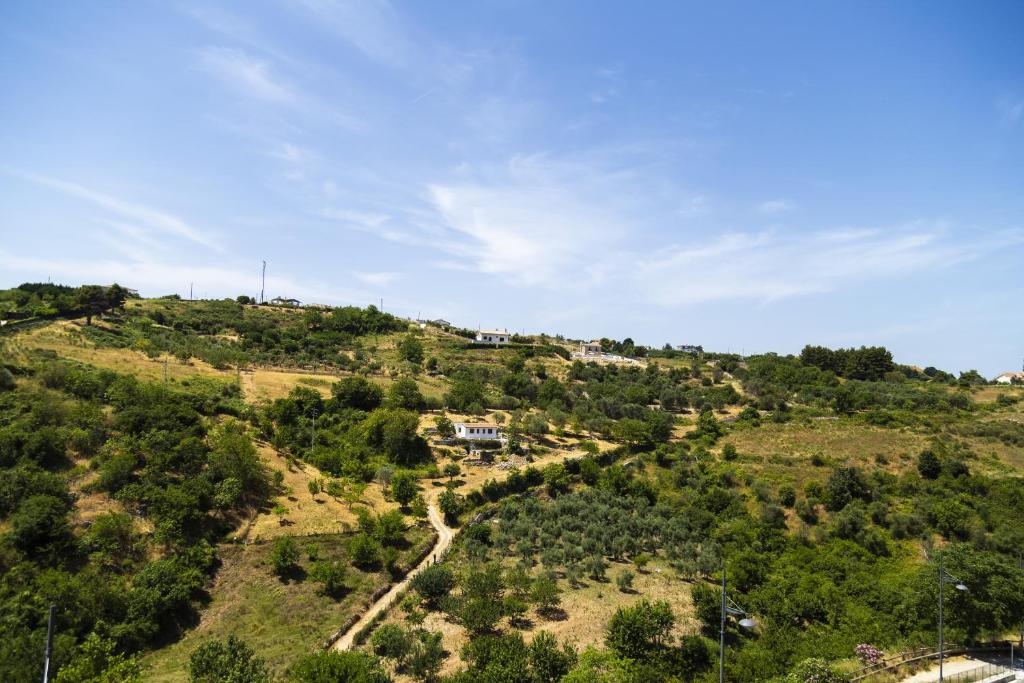 Příroda nedaleko apartmánu
