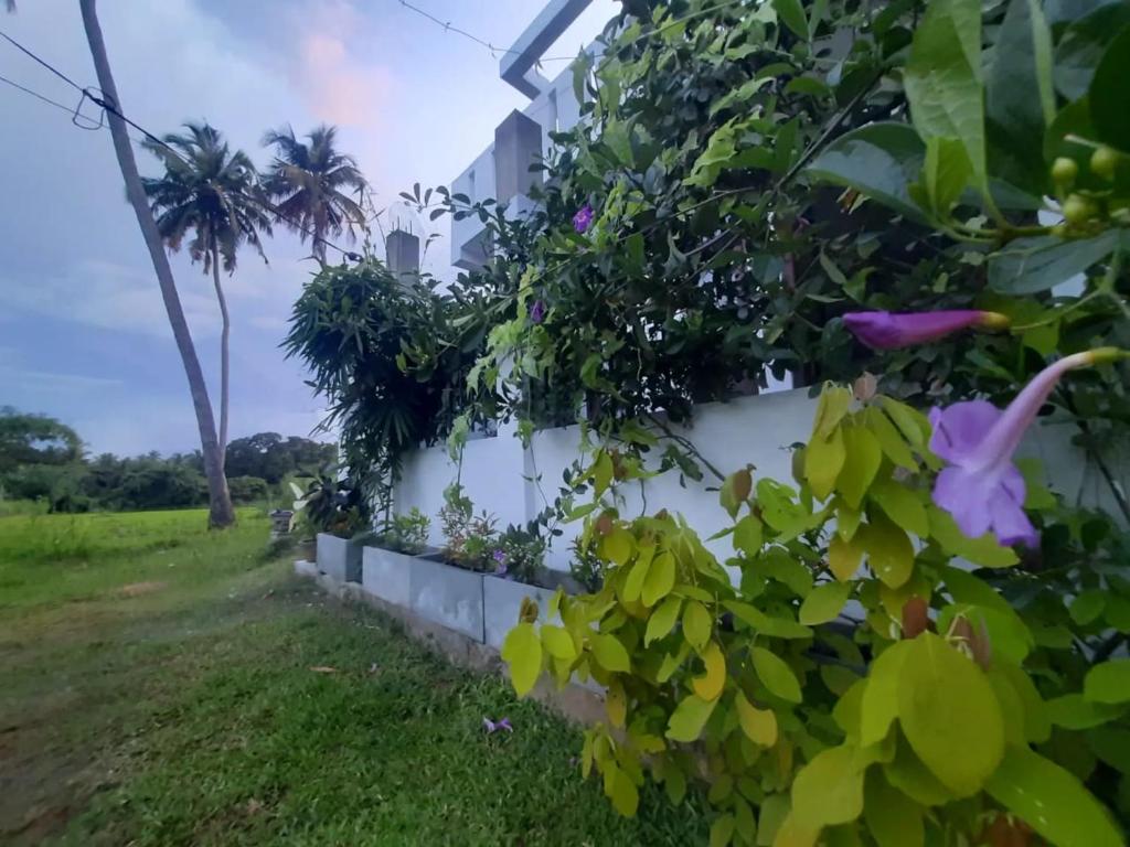 Zahrada ubytování Anuradhapura Kingdom View Resort