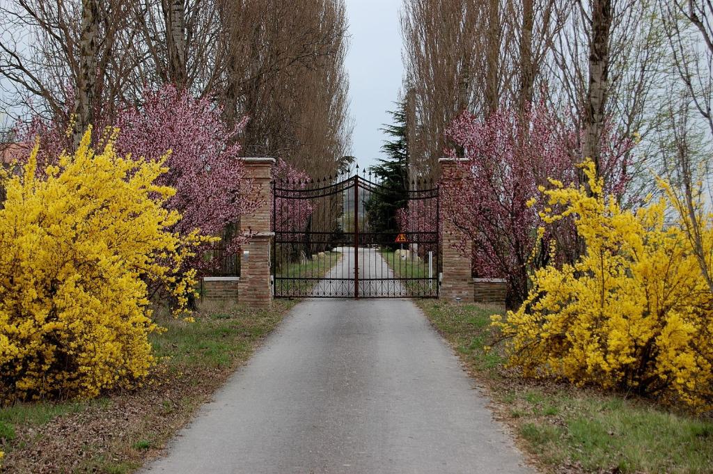 une porte menant à un jardin orné de fleurs jaunes dans l'établissement Agriturismo Corte Rocca, à San Giorgio Di Mantova