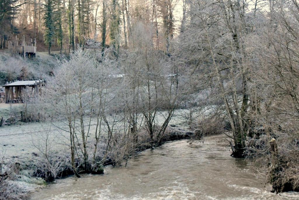 Przyroda w pobliżu tego domu wakacyjnego