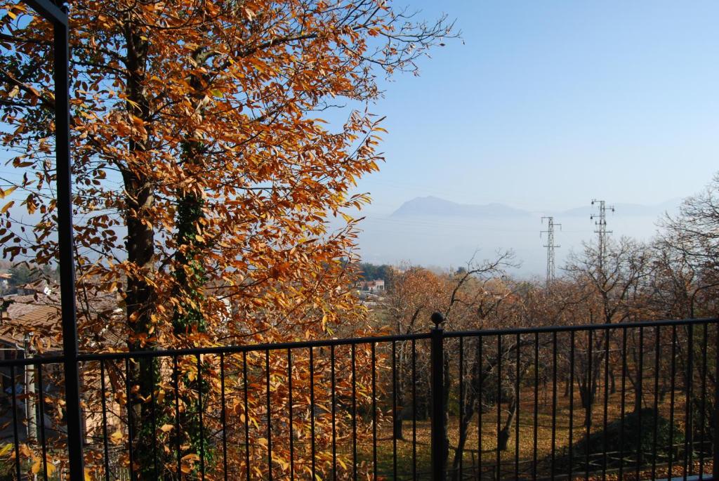 Royal Hotel Montevergine - 单人间 - 带阳台