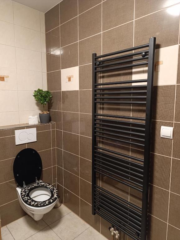 Koupelna v ubytování apartmán Fénix