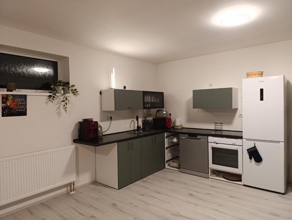 Kuchyň nebo kuchyňský kout v ubytování apartmán Fénix