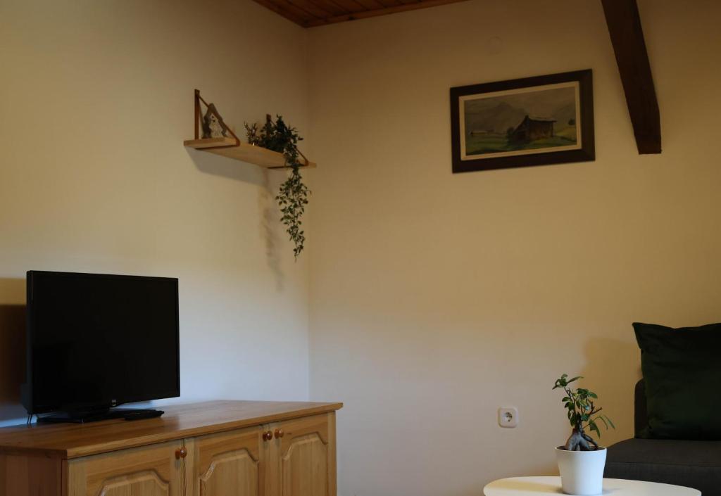 TV a/nebo společenská místnost v ubytování Mountain View Apartments - Pr` Potovcn`k