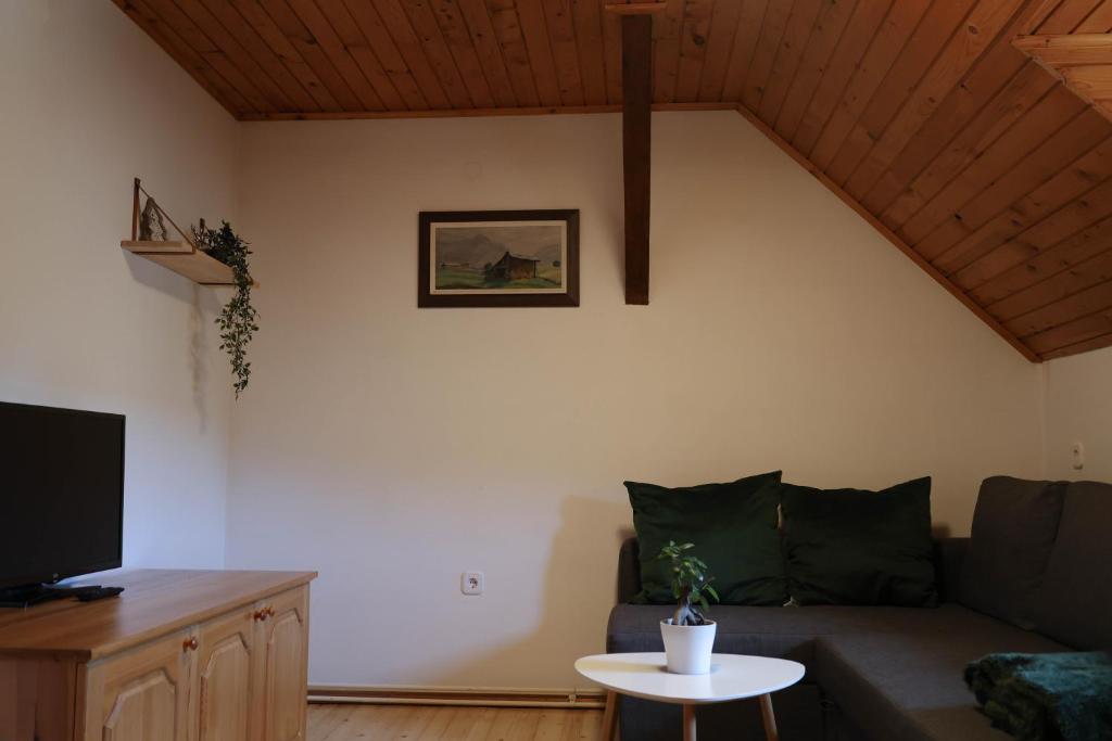 TV a/nebo společenská místnost v ubytování Mountain View Apartments - Pr` Potovcn`k