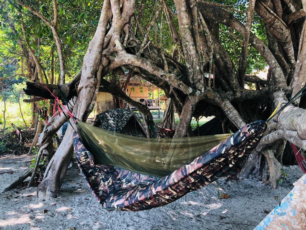 Příroda nedaleko hostelu