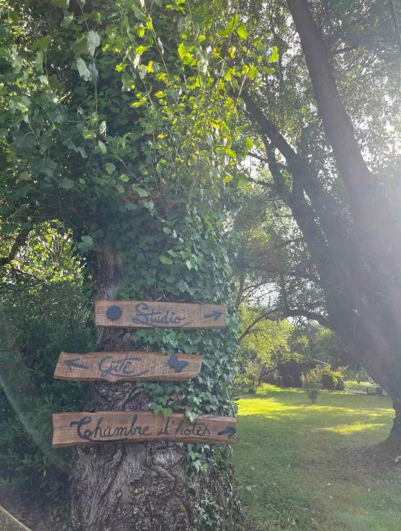 un arbre avec des panneaux dans un parc dans l'établissement Chambre indépendante salle d'eau et WC privatifs, à Cézac