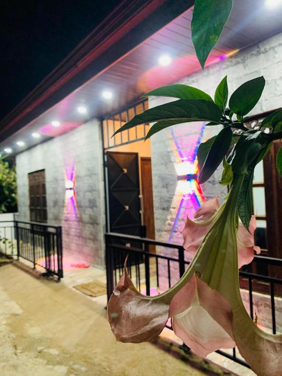 Fotografie z fotogalerie ubytování Nethuli Inn Ella v destinaci Ella