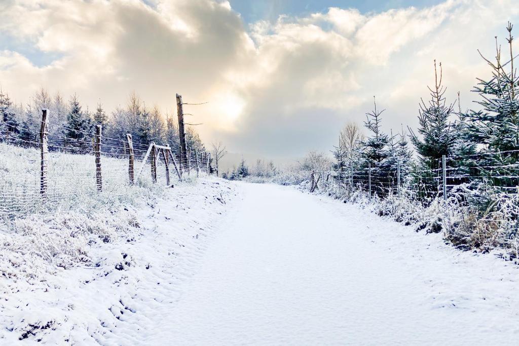 Luxury Apartments Winterberg in der alten Schule - 19