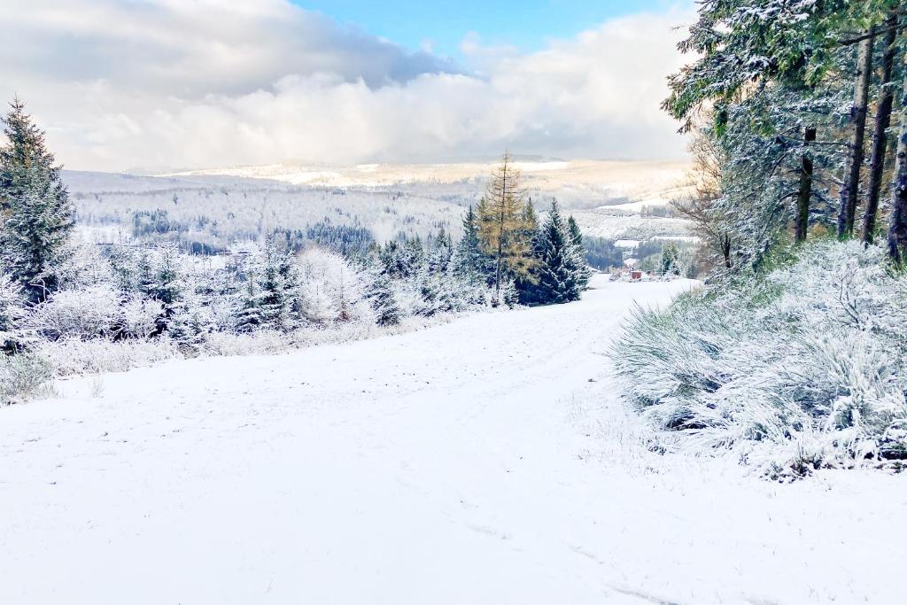 Luxury Apartments Winterberg in der alten Schule - 8