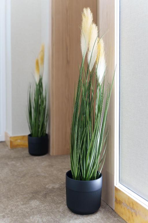 Move In Apartments - ApartHotel Belgrade - Resim 32