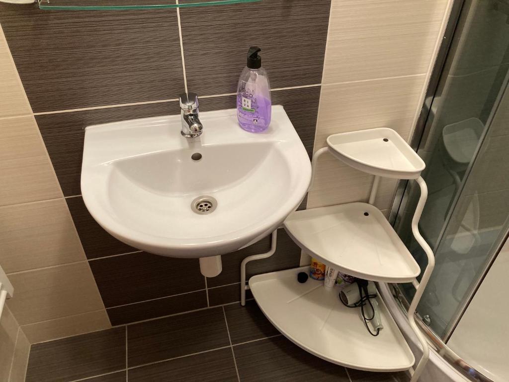 Koupelna v ubytování Apartmán pod kopcom