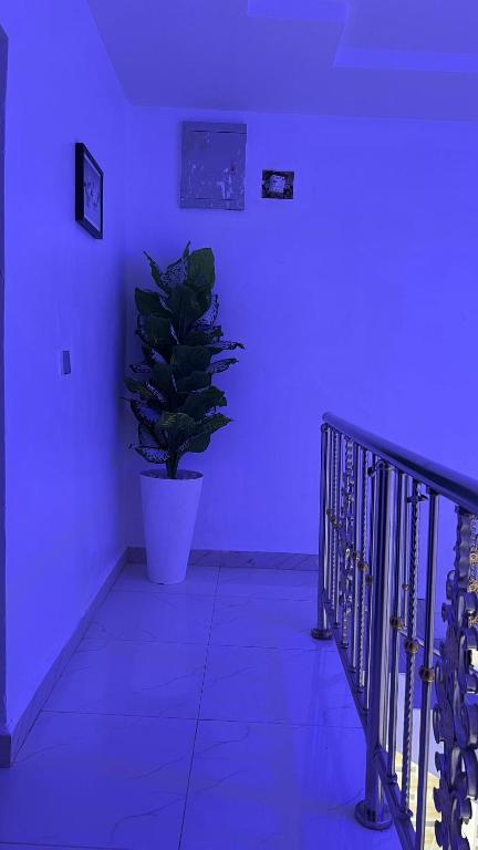 Fotografie z fotogalerie ubytování The Canopy Haven v destinaci Sagwari