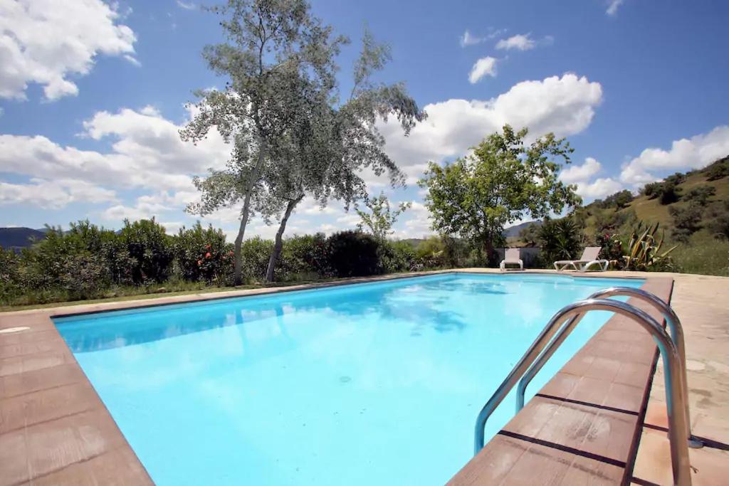 ein großer blauer Pool mit einer Bank daneben in der Unterkunft Villa 81 by Villamya in El Gastor