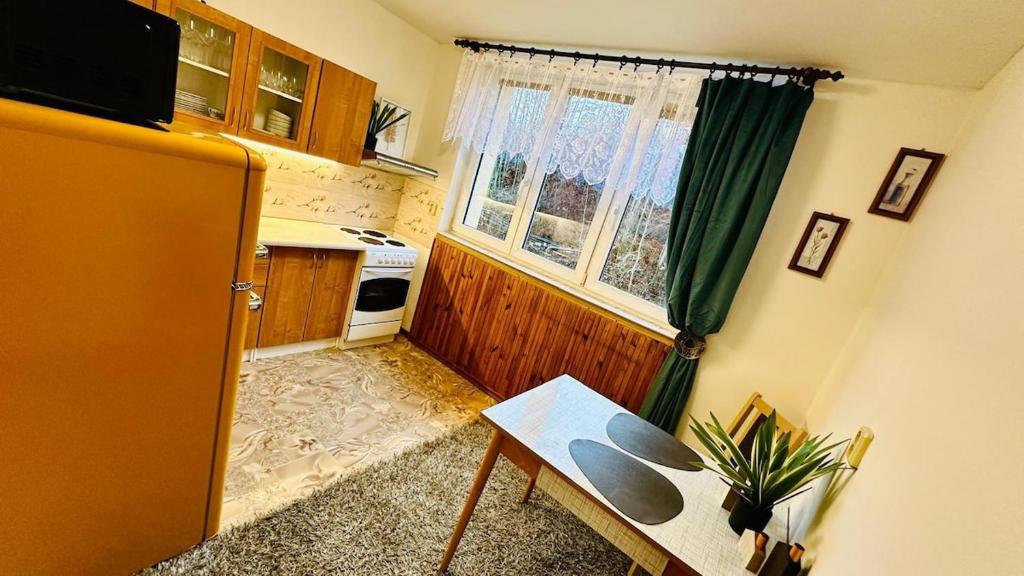 Kuchyň nebo kuchyňský kout v ubytování Rodinný apartmán na Šumavě