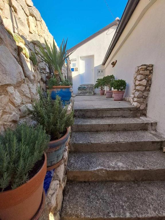 Fotografie z fotogalerie ubytování Libera1 v destinaci Stara Baška
