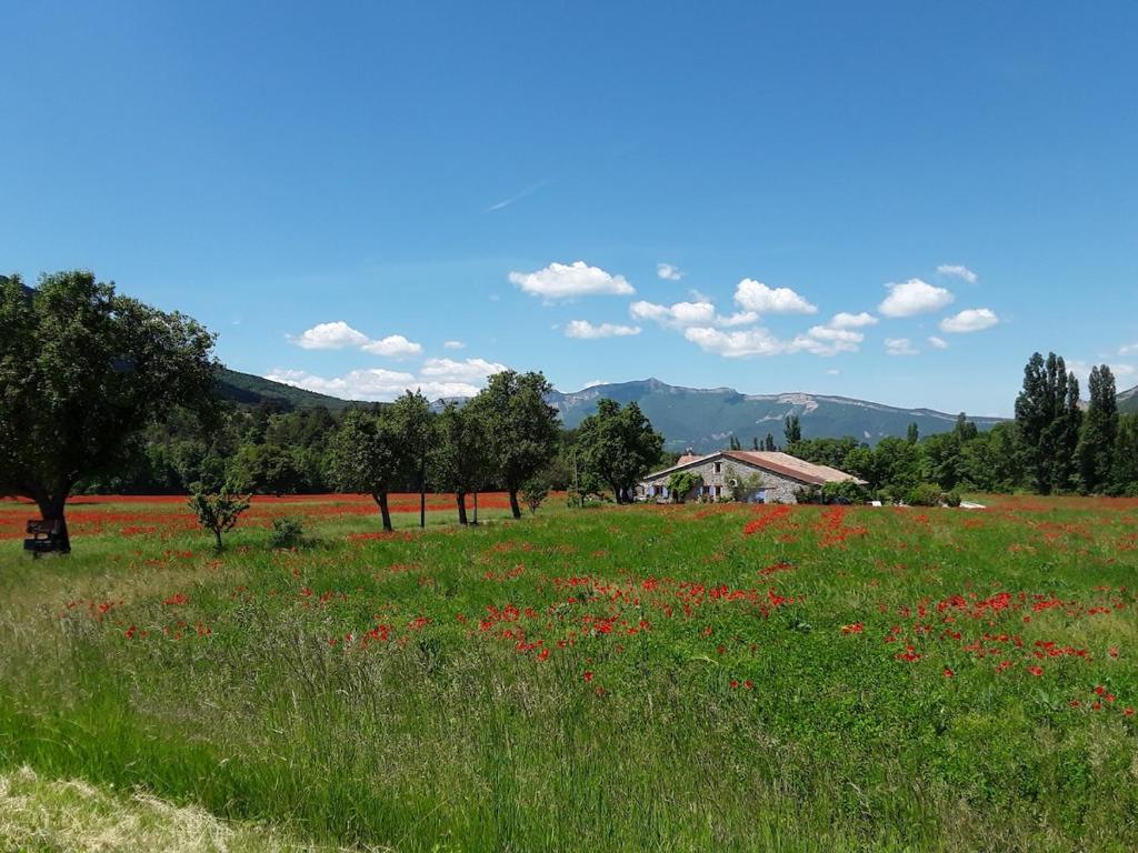 a field of flowers with a house in the background at Renovated farm, ferme rénovée in Savournon