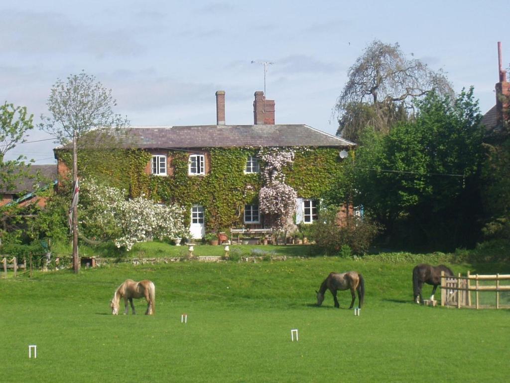 three horses grazing in a field in front of a house at Lower Buckton Country Living Big House near Ludlow 6 bedrooms sleep 12 in Leintwardine