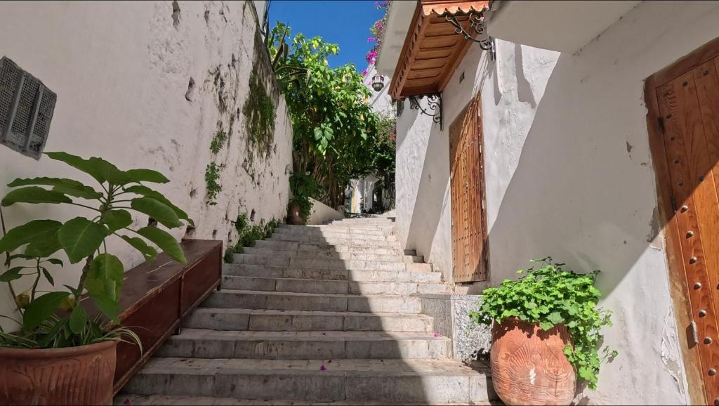 Fotografie z fotogalerie ubytování Pension saada v destinaci Tanger